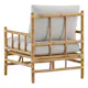 Lenestol Venture Home Cane
