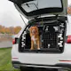 Hundegitter Artfex Modell 2 Dobbeldør