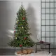 Juletre Star Trading Minnesota Kunstig 250 cm med LED 800 Lys