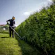 Gresstrimmer Metabo RTD 18 LTX BL 30 Uten Batteri