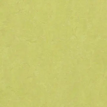 Linoleumgolv Forbo Marmoleum Click Spring Buds 30x30 cm