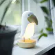 Nattlampe Star Trading Toucan NightLight USB