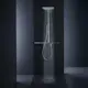 Takduschset Axor ShowerSolutions Showerpipe 800