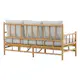 Sofa Venture Home Cane