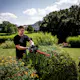 Hekksaks Metabo HS 18 LTX 55 Uten Batteri