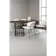 Spisegruppe furniture/fashion Stone med 4 Chico Stoler