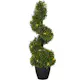 Dekorativt Tre Star Trading Buxbom 65 cm 20L