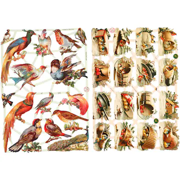 Glansbilder Creativ Company Fugler 165x235 cm 2 Ark/1 Pk