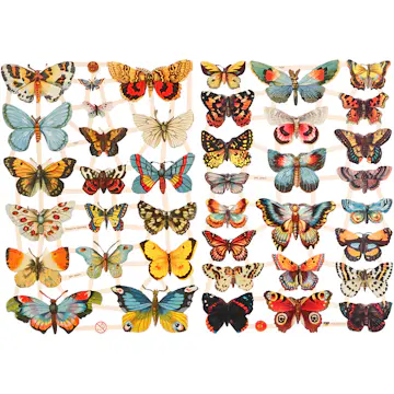 Glansbilder Creativ Company Sommerfugl 165x235 cm 2 Ark/1 Pk