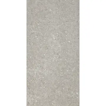 Fliser Lhådös District grå 30x60 cm