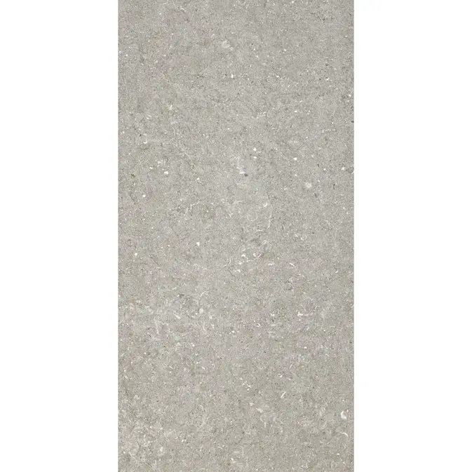 Fliser Lhådös District grå 30x60 cm