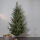 Juletre Star Trading Uppsala 210 cm