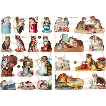 Glansbilder Creativ Company Katter 165x235 cm 2 Ark/1 Pk