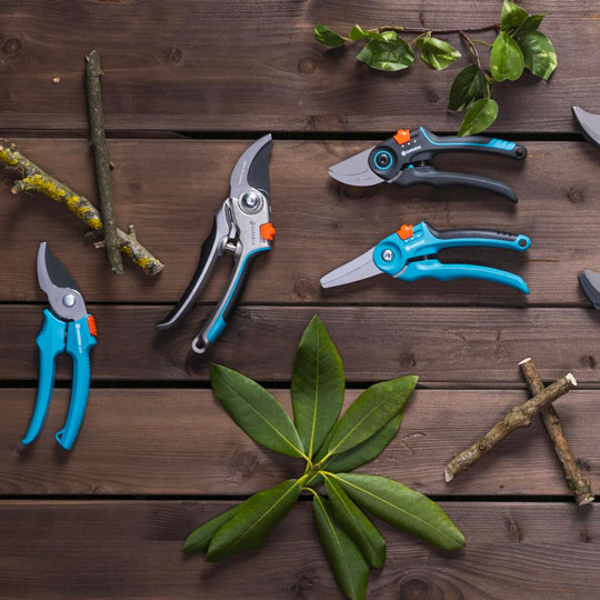 Gardena redskap til beskjæring av roser