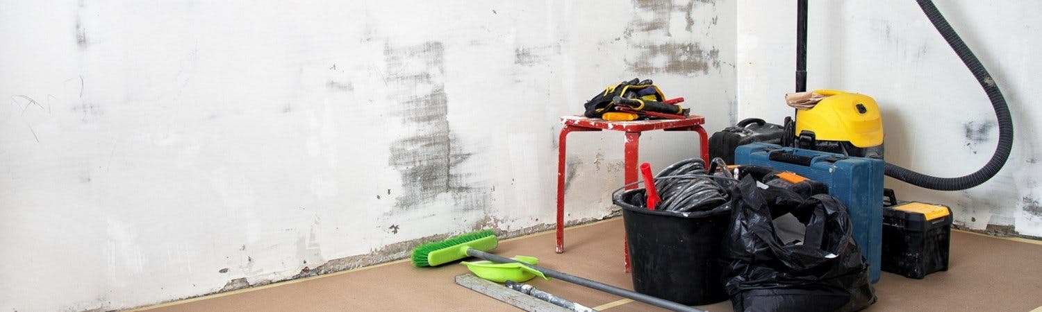 Er du på jakt etter en ny grovstøvsuger? Vi har sett nærmere på tre populære modeller og gir deg tips før kjøpet.