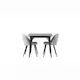 Spisegruppe Venture Home Tempe med 2 Velvet Stoler