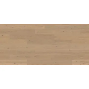 HASSLARP 3.0 XXL