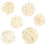 Tørkede Creativ Company Blomster Dia 3-5 Cm