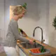 Kjøkkenbatteri Hansgrohe Talis S 200 med Uttrekkbar Tut