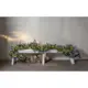 Grangirlander Star Trading 300 cm 60