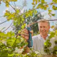 Beskjærersaks Gardena AssistCut
