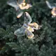 Solcelle-Lyslenke Star Trading Papillon