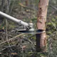 Ryddesag Husqvarna 545F