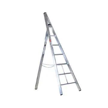 Frukt og Beskjæringstrapp Svelt