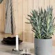 Hagebord Venture Home Break