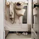 Laminatgulv Pergo Lillehammer Pure Mist Oak