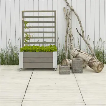 Blomsterkasse PLUS Cubic med espalier Gråbrun 87x50x130 cm