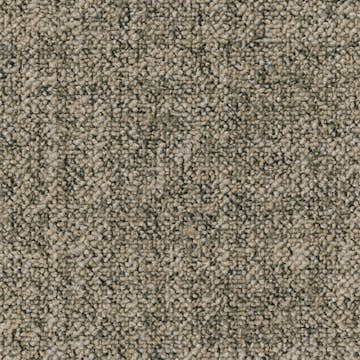 Teppeflis Tarkett Desso Linon AA83 B8 9097