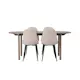 Spisegruppe Venture Home Andy med 4 Polar Stoler