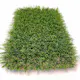 Konstgräs ScanTurf Excellence