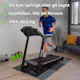 Tredemølle Core 3000