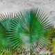 Fototapet Living Walls Designwalls DD118710