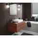 Tvättställsblandare Hansgrohe Talis E 110