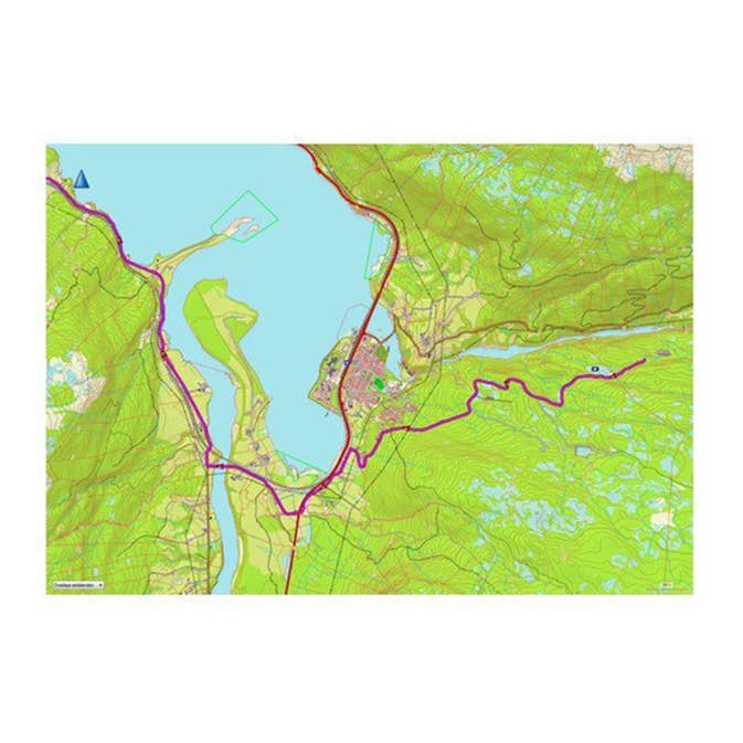 Topografiske Kart Garmin TOPO Europa