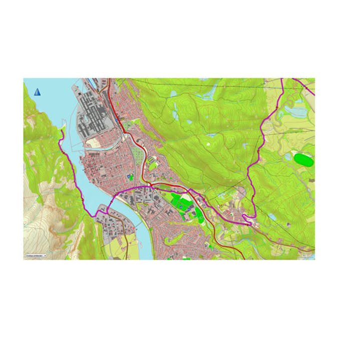 Topografiske Kart Garmin TOPO Europa