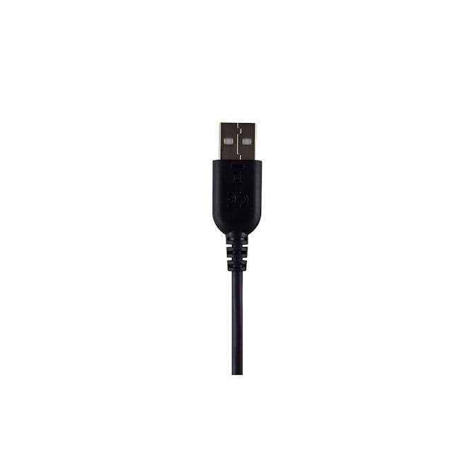 Ladekabel Garmin Varia Vision