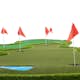 Golfmatte Lyfco Pro Doble Greener 4x2m