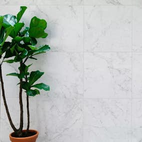 Klinker Bricmate M36 Carrara Select Honed 60x30 cm