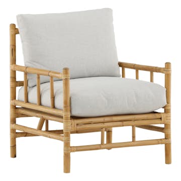 Lenestol Venture Home Cane