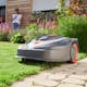 Robotgressklipper AL-KO Robolinho 350 W