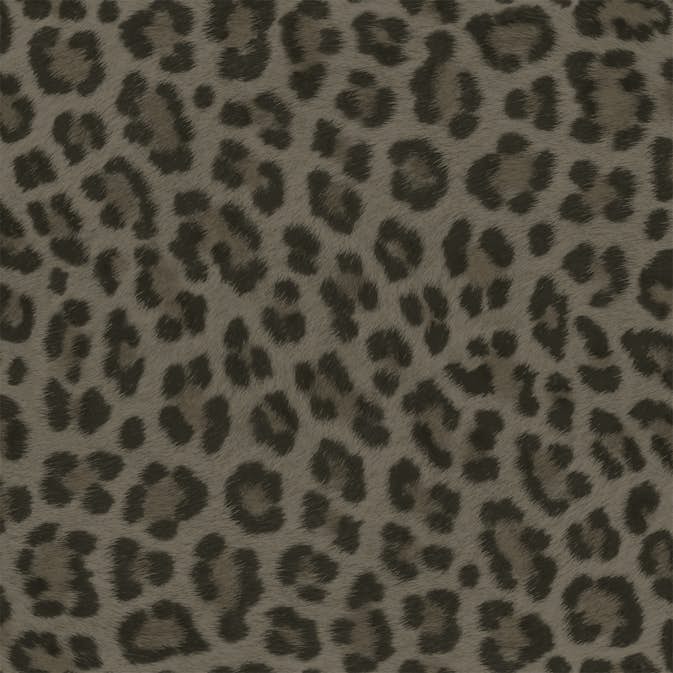 Tapet Origin Leopardskinn Muldvarpsgrå Outlet