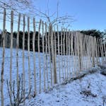 Stakitt Palmako i Hasseltre 150 cm X 5 m
