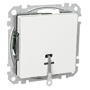 Snorbryter Schneider Electric Exxact
