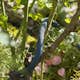 Tekstilslange Gardena Liano Sett 15 m