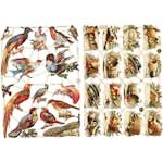 Glansbilder Creativ Company Fugler 165x235 cm 2 Ark/1 Pk