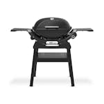 Gassgrill Weber Q2200N Med Stativ